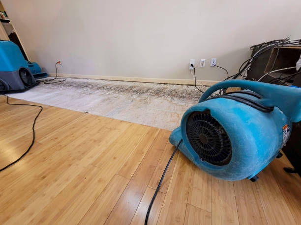 Professional Basement Flood Cleanup technician working in Massapequa, NY